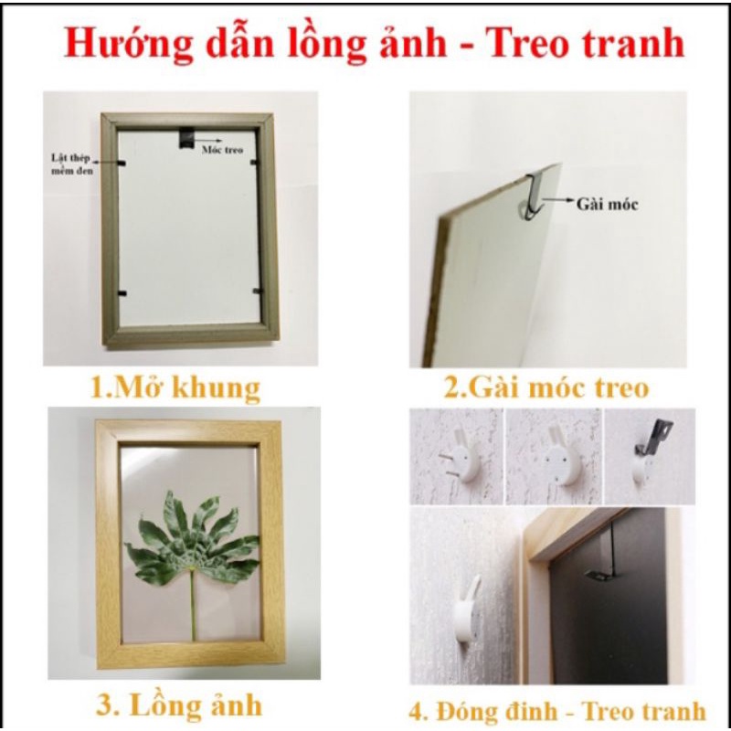 Khung bằng khen