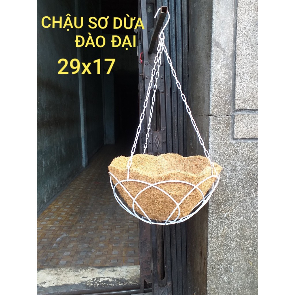 Chậu treo sơ dừa