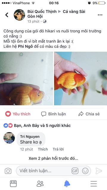 Cám cá vàng siêu tăng màu Saki Hikari Fancy Extra Color 100g