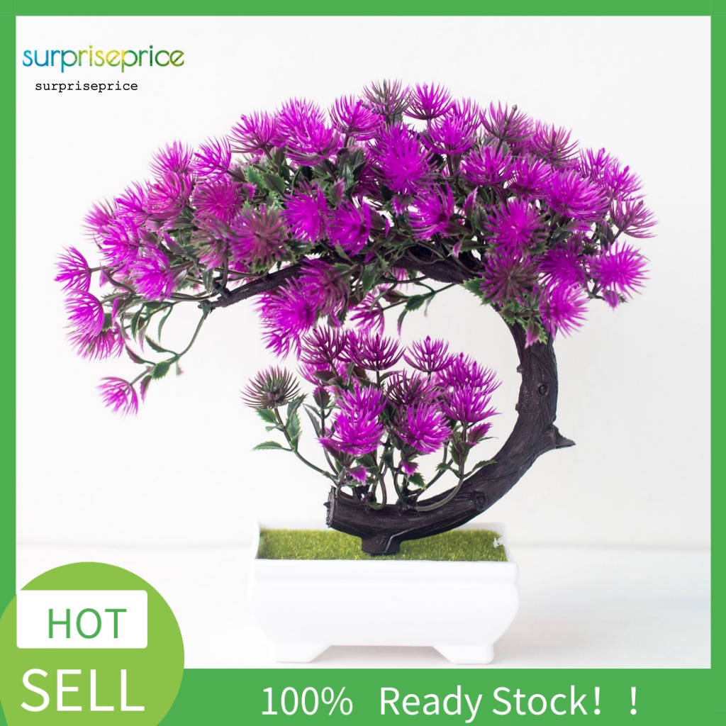 Chậu Cây Bonsai Giả Trang Trí