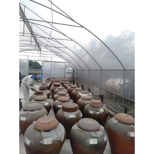 Tương bần Tuệ Viên _ nguyên liệu hữu cơ _ lên men truyền thống trong chum sành