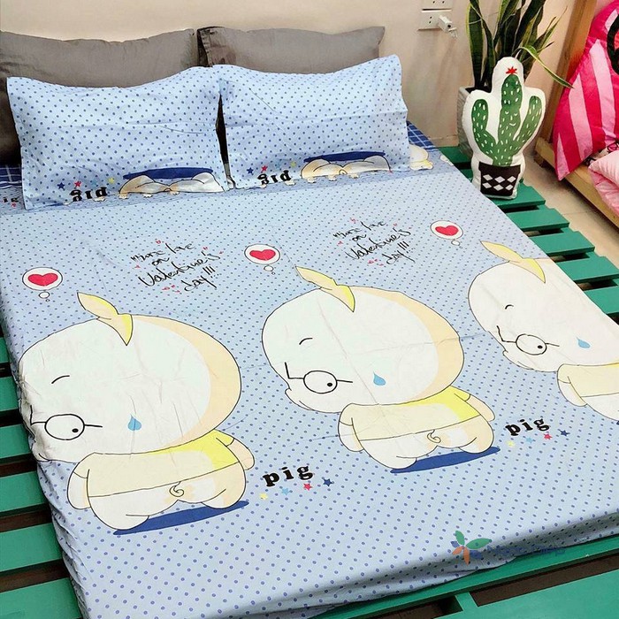 Bộ ga gối poly cotton lợn con