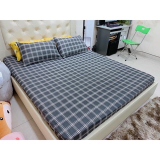 Ga gối cotton polly combo 3b ga gối