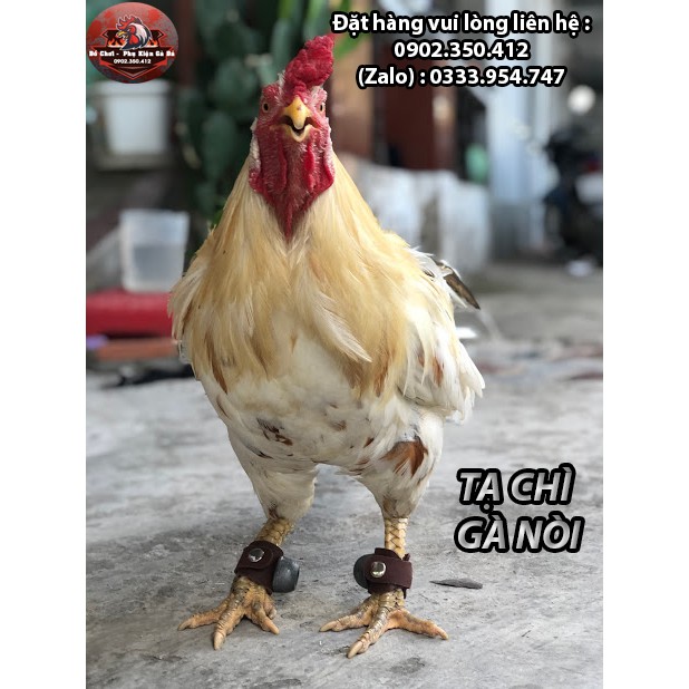 Tạ Chì Đeo Chân Bằng Da Cho Gà Đá - Bộ x 2 Cái