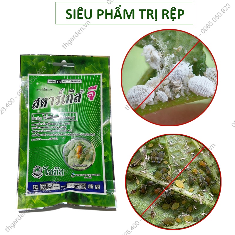 Thuốc trị rệp sáp Thái Lan - Thuốc diệt rệp cây cảnh  - Diệt rệp, côn trùng có hại cho cây - An toàn hiệu quả