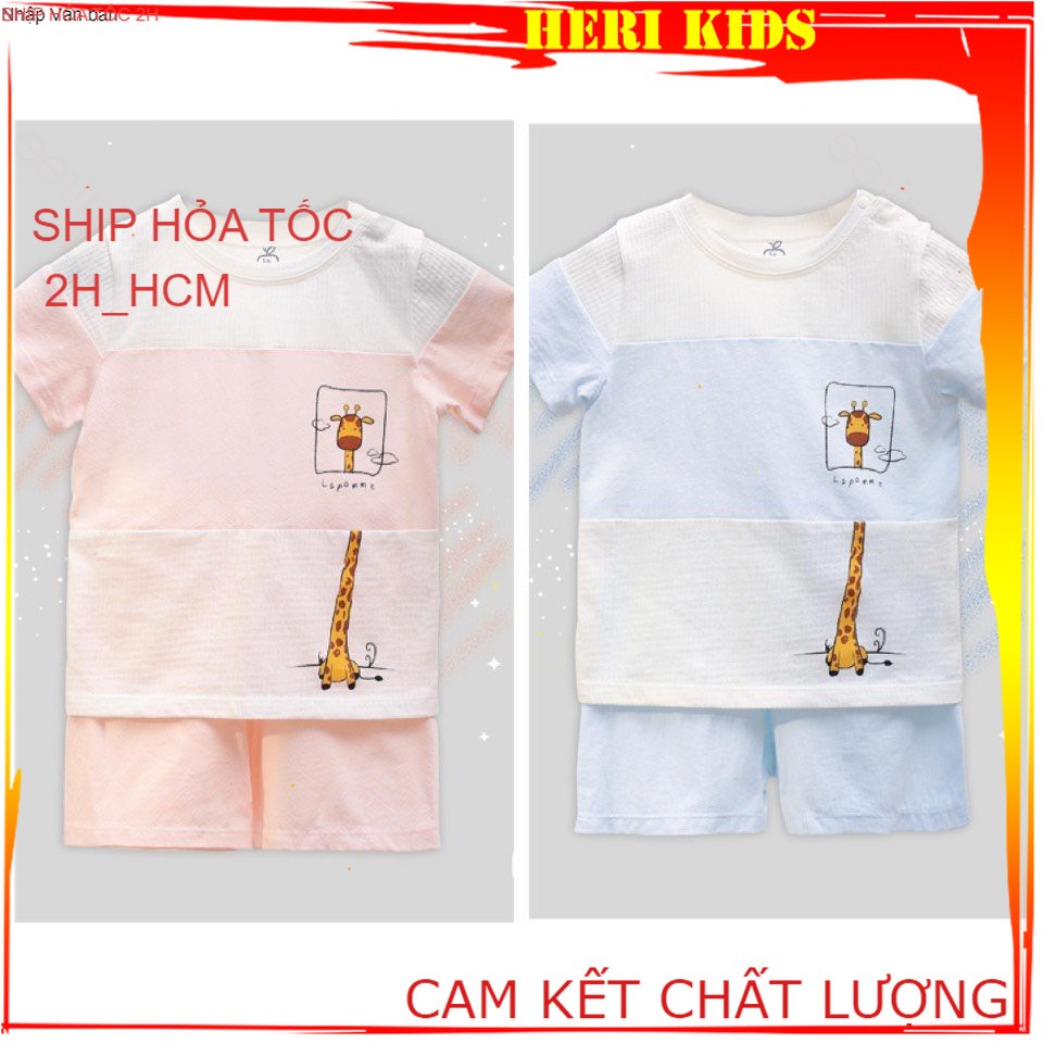 Bộ cộc tay Lapomme hươu cao cổ 9m -5Y