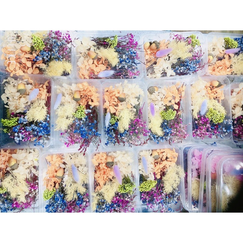 ❤️ Hộp hoa khô vĩnh cửu hỗn hợp 6 loại hoa ❤️ hoa khô nguyên liệu handmade ❤️ Resin ❤️ cài tóc❤️