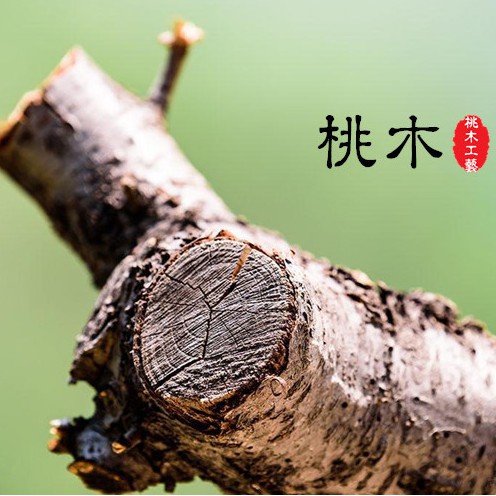 Set 02 Lược gỗ Taomu Trừ tà ma, Chống tĩnh điện, Chạm khắc tinh xảo