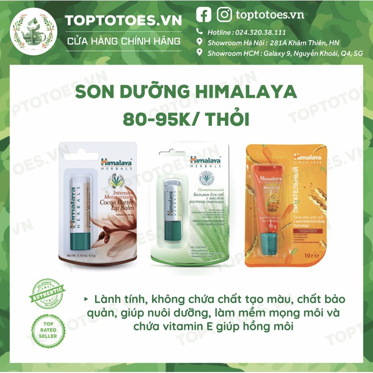 Son dưỡng Himalaya Herbals lành tính, dưỡng ẩm, làm hồng môi