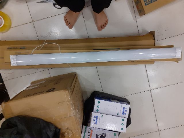 Bộ Tuýp bán nguyệt Rạng Đông M26 1.2m _36w | BigBuy360 - bigbuy360.vn