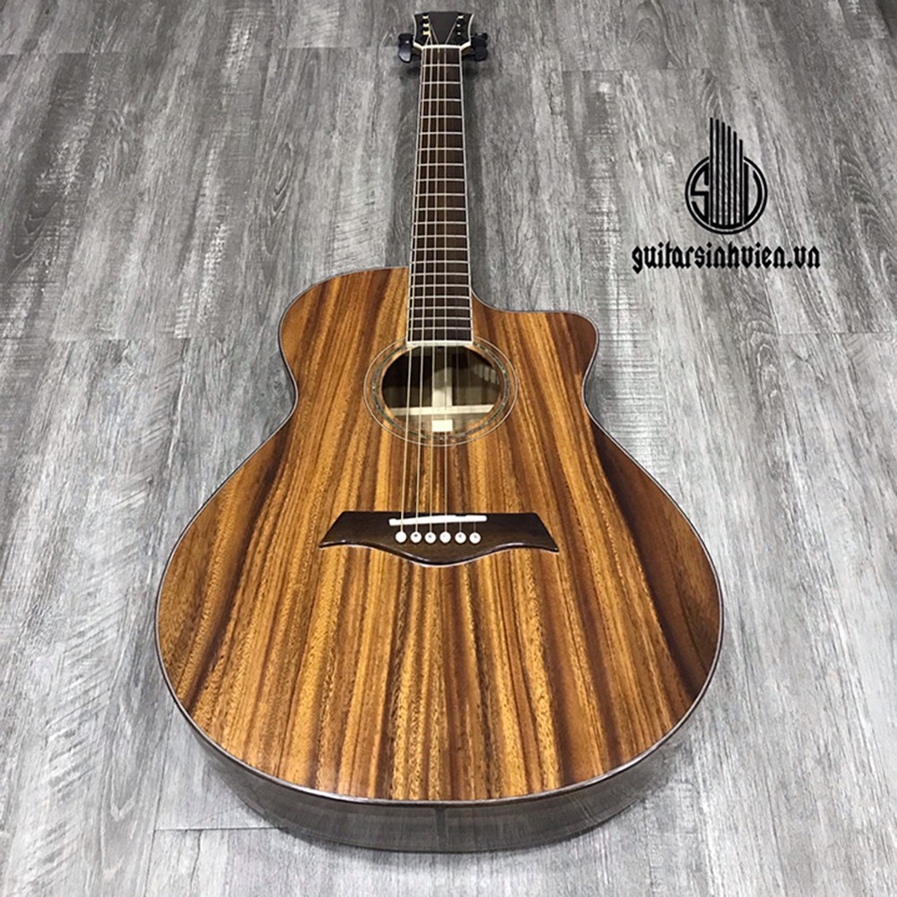 Guitar acoustic gỗ điệp nguyên khối full mặt trước và sau - SVFA5 - tặng full phụ kiện