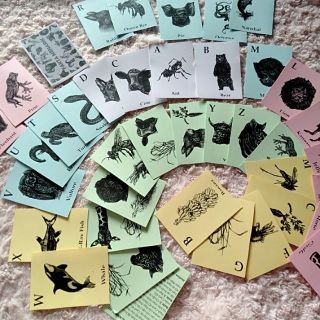 Bộ thẻ học animal 4D+ gồm 40 thẻ