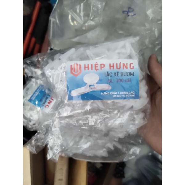 bao 100 con tắc kê bướm,tắc kê thạch cao