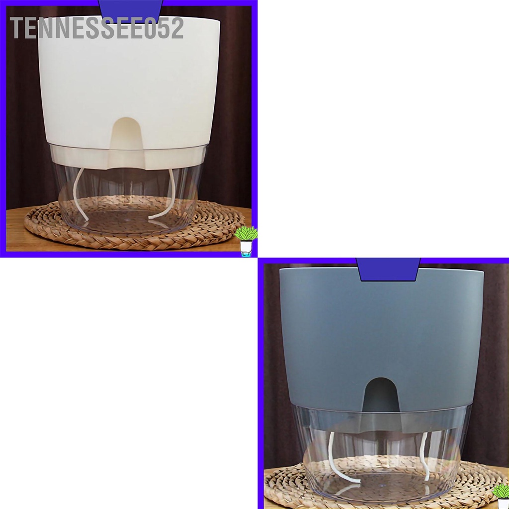 Chậu Hoa Nhựa Hai Lớp Trong Suốt Tự Tưới Nước Có Thể Tháo Rời