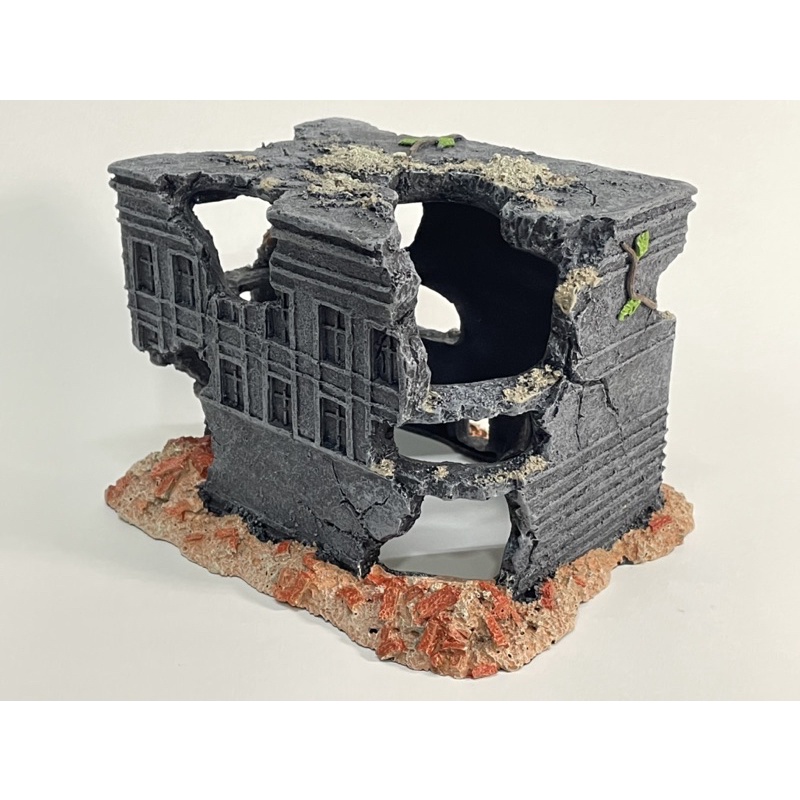 Trang Trí Hồ Cá , Thuỷ Sinh - Ngôi Nhà Hoang