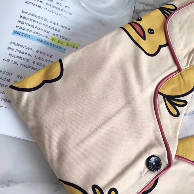 Bộ ngủ pizama hàng quảng châu đóng túi zip xịn