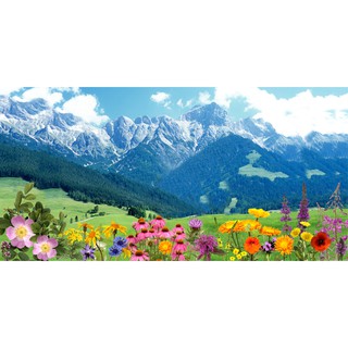 Tranh dán tường Ngắm hoa bên sườn đồi núi tuyết, tranh dán tường 3d hiện đại (tích hợp sẵn keo)
