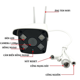 Camera Wifi Ngoài Trời 2 Râu X4000
