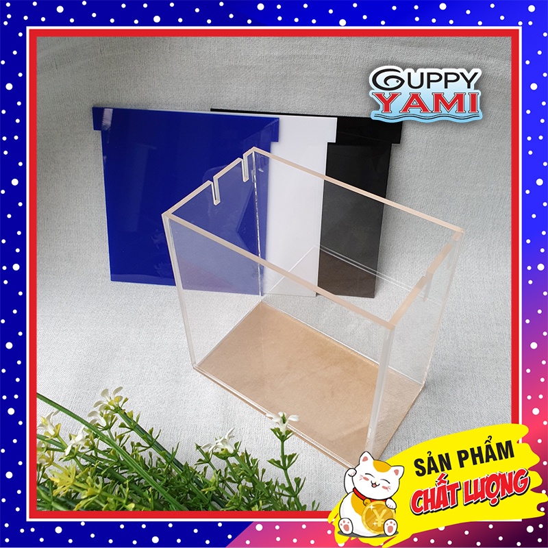 Hồ 2 Ngăn Show Cá Guppy  – Betta  - In Tên Theo Yêu Cầu