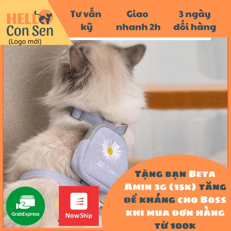 Dây yếm chó mèo kèm balo yếm cho chó mèo Họa Tiết thêu Xinh Xắn Siêu Bền Chống Mài Mòn Tiện Dụng