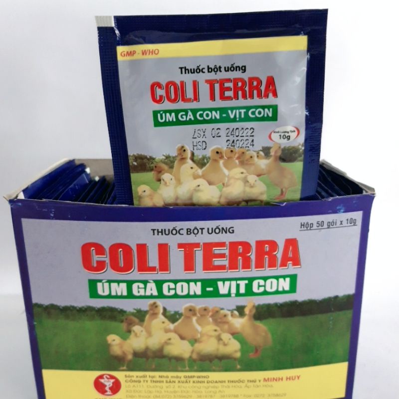 Gói úm gà vịt con bổ sung vitamin cần thiết