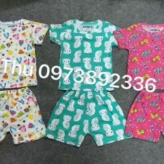 Bộ carter set 4 bộ