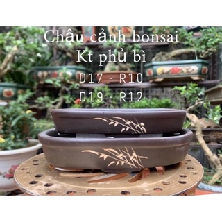 2 Ang trồng cây bonsai cây mini- Chậu trồng cây bonsai - chậu trồng sen đá - chậu cảnh bonsai