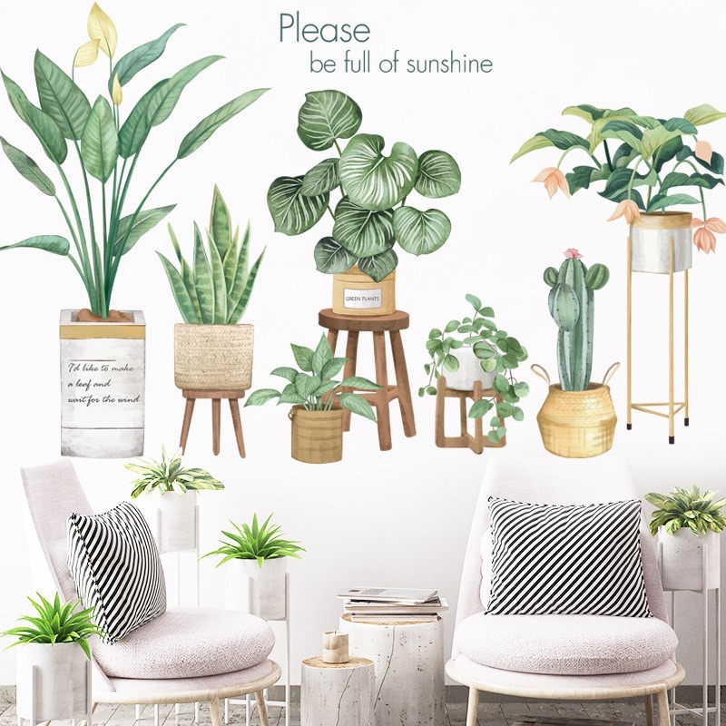 Decal Dán tường mẫu chậu cây nhiệt đới 03