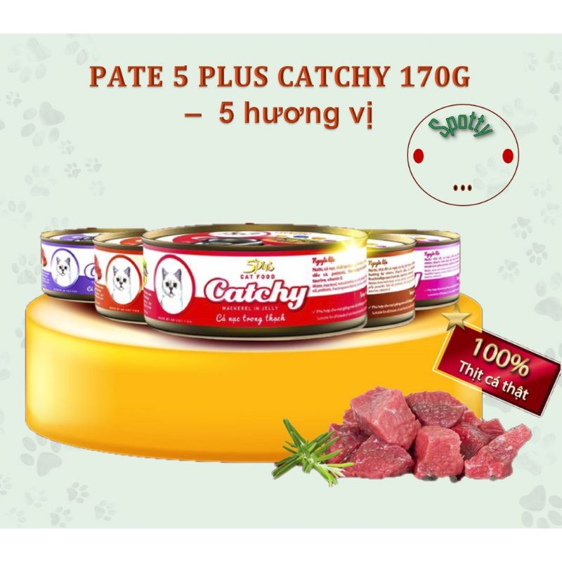 Pate mèo catchy lon 170g thức ăn mèo dạng thạch hãng 5plus