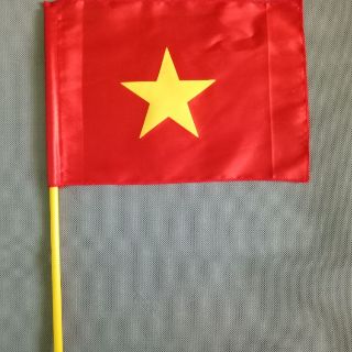 Sỉ 100 cờ cầm tay
