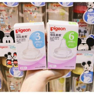 Núm ti Pigeon nội địa Nhật size SS/S/M/L/LL (giá 1 núm)