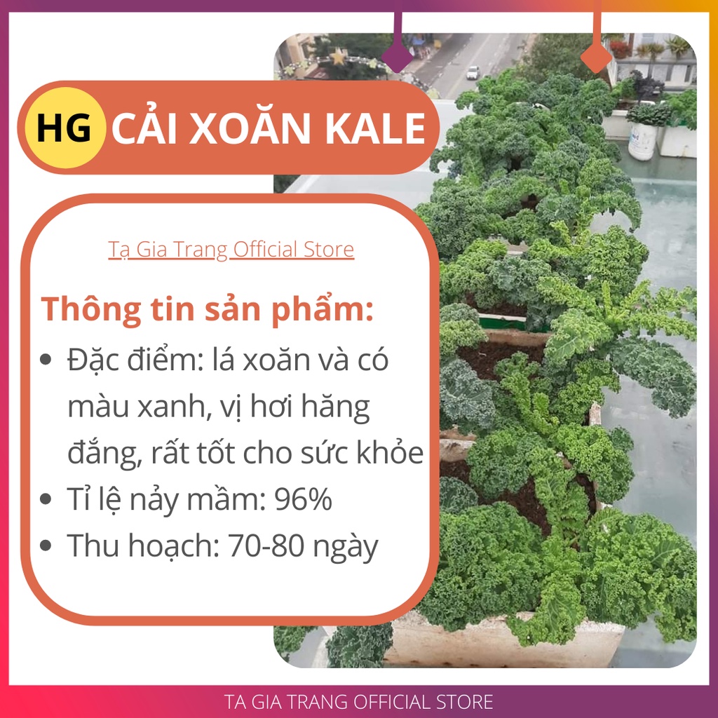 Deal 1K - 20 hạt giống cải xoăn kale - Tập làm vườn cùng Tạ Gia Trang