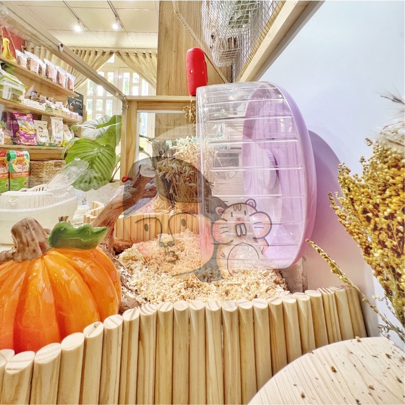 Thầu Thang Gỗ - Thang gỗ đủ kích thước dành cho Hamster