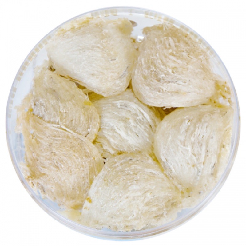 Tổ Yến tinh chế hộp 100 gram .