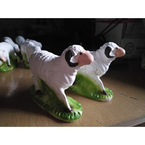 Cừu nhỏ Thạch Cao