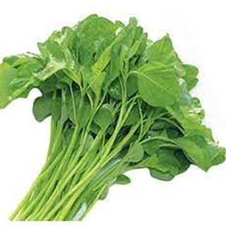 Hạt giống rau dền xanh lá tròn Rado 17 RD gói 20gr