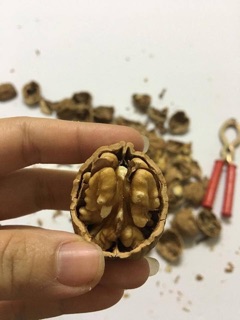 NHÂN QUẢ ÓC CHÓ MỸ nhập khẩu 100g