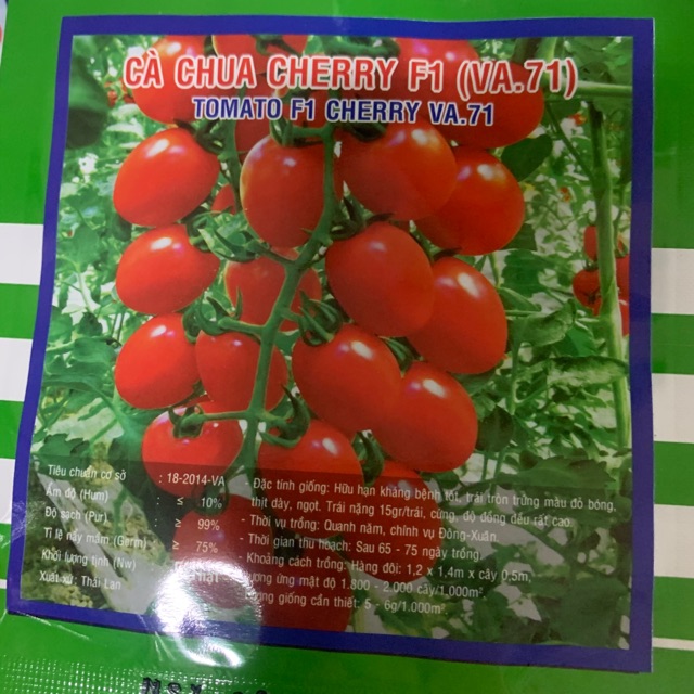 Cà chua bi cherry đỏ