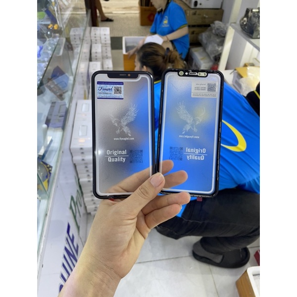 Kính liền ron X-R/ kính liền ron 11 Đại Bàng KHÔNG KEO