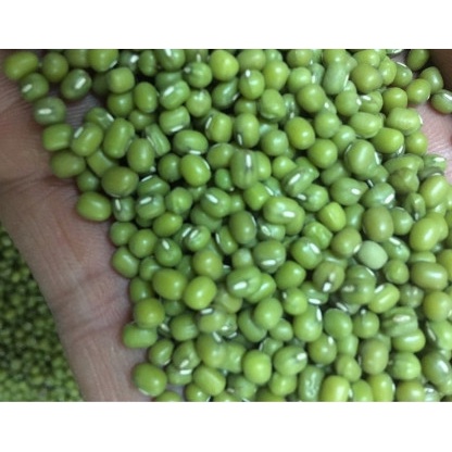 Đậu xanh hạt nguyên hàng chuẩn đẹp 0,5kg