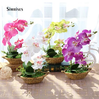 Hoa lan giả nghệ thuật để bàn trang trí vườn Bonsai/tiệc cưới DIY