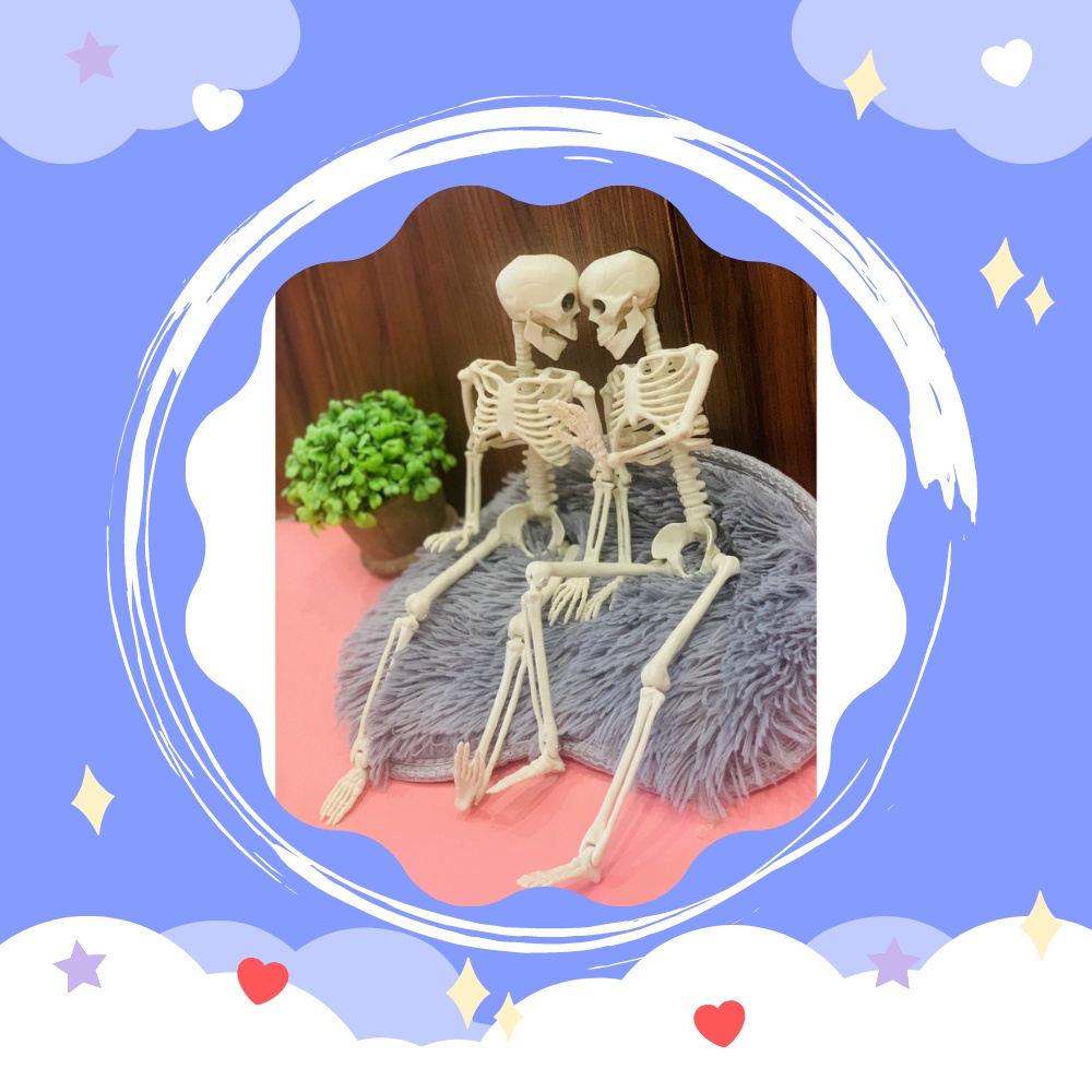 MÔ HÌNH XƯƠNG NGƯỜI MEDITECH