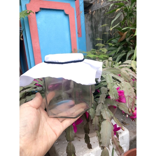 Combo đầy đủ Nấm nước kefir + Hũ thủy tinh 500ml +Rây lọc + Khăn đậy hũ + Thìa gỗ