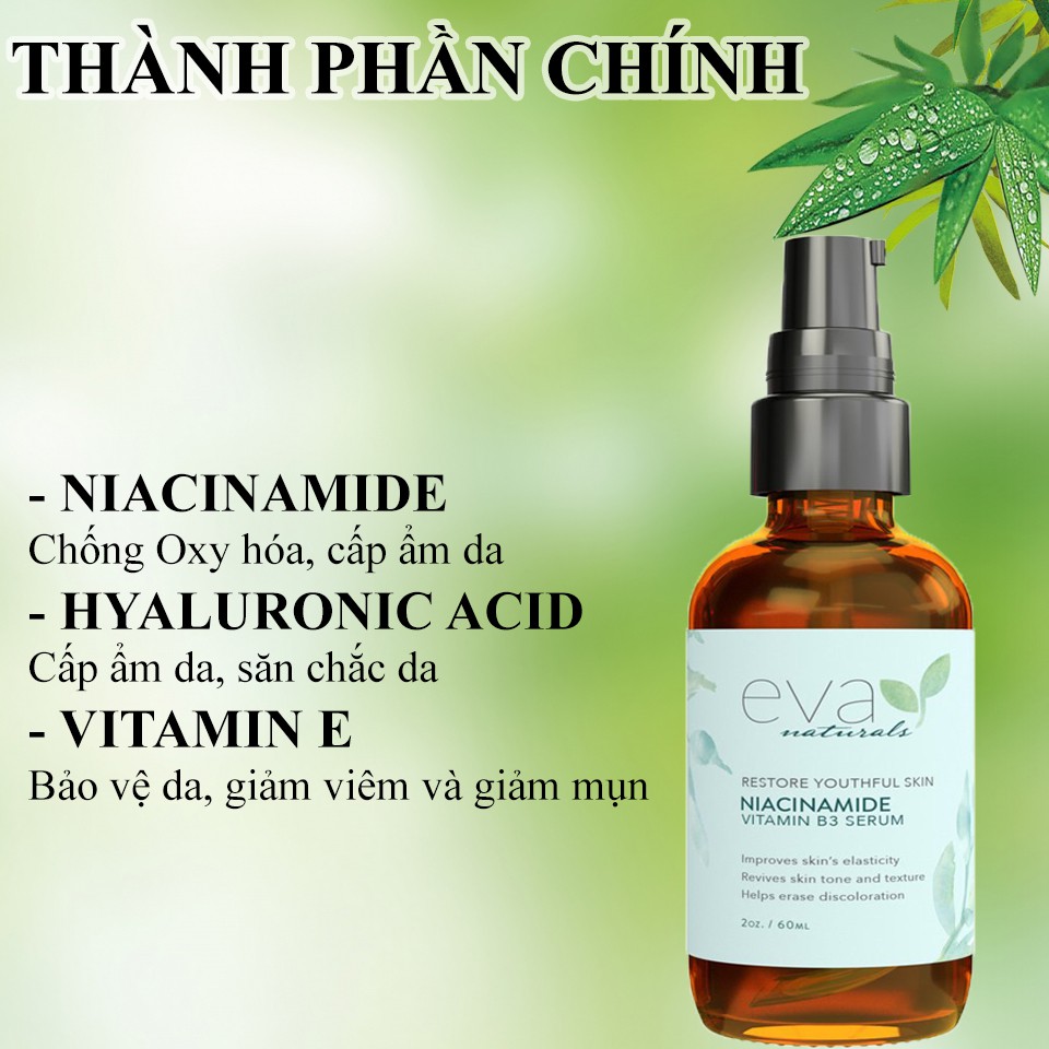 Serum Giúp Da Mịn Màng, Se Khít Lỗ Chân Lông Eva Naturals Niacinamide Vitamin B3 Serum 60ml | BigBuy360 - bigbuy360.vn