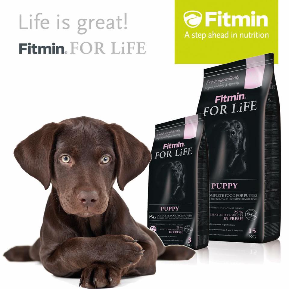 Combo 5 gói Thức ăn cho chó con Fitmin For Life All Breeds Puppy 3kg
