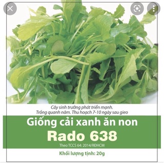 Hạt giống cải xanh ăn non 638