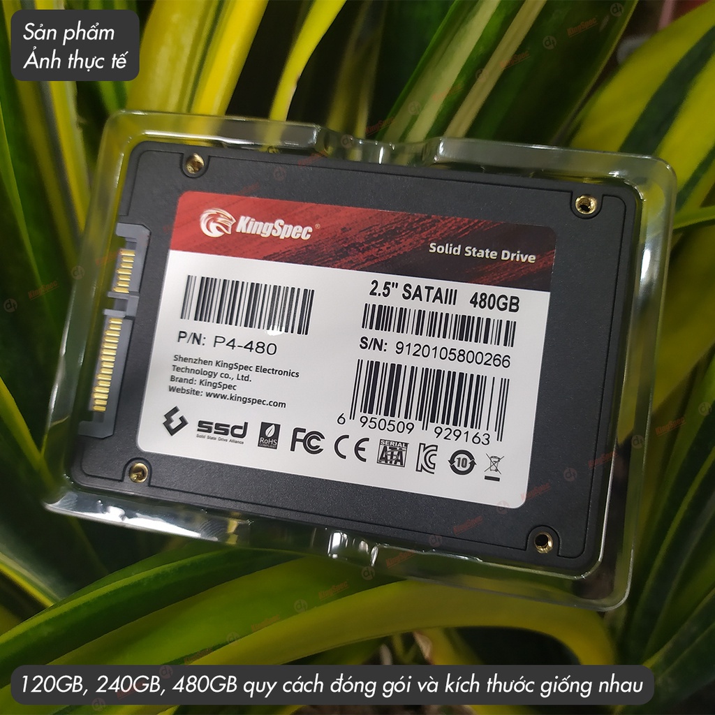 ஐ◊☊Ổ cứng SSD KingSpec 480GB cài sẵn Win 10 , SATA 2.5 | P4 480 - Hàng Chính Hãng | BigBuy360 - bigbuy360.vn