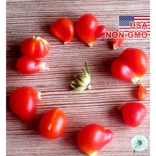 Hạt Giống Cà Chua Khổng Lồ