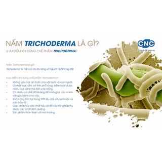 1kg Nấm Trichoderma Cao cấp - Trichoderma Điền Trang