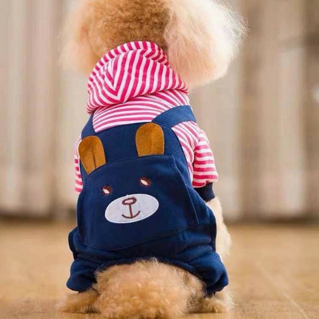 Áo thỏ có nón chó mèo
